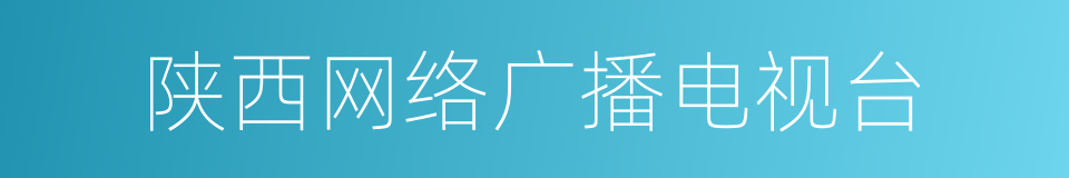 陕西网络广播电视台的同义词