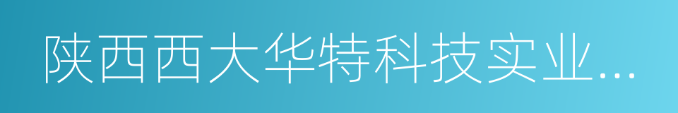 陕西西大华特科技实业有限公司的同义词