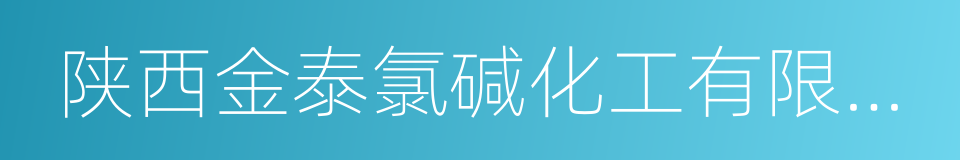 陕西金泰氯碱化工有限公司的同义词