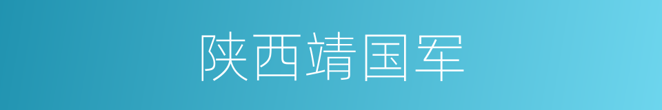 陕西靖国军的同义词