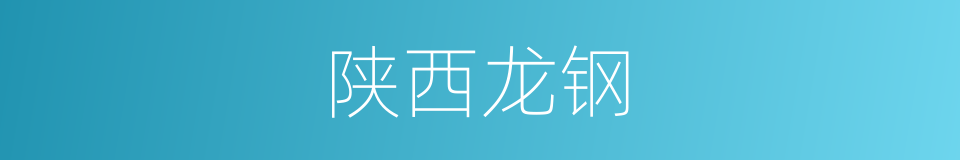 陕西龙钢的同义词