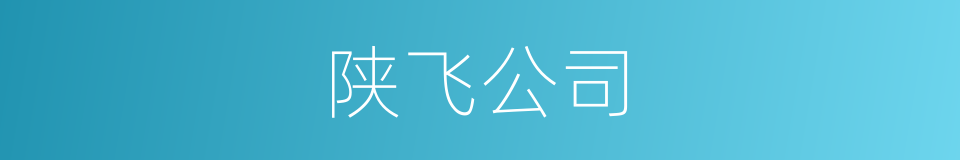 陕飞公司的同义词