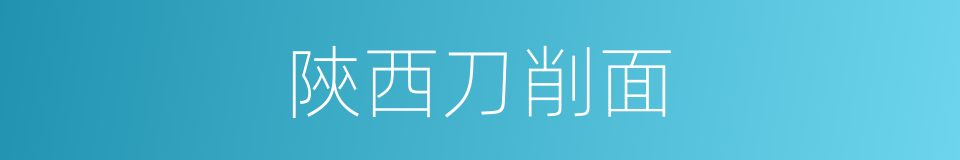 陝西刀削面的同義詞