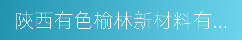 陝西有色榆林新材料有限責任公司的同義詞