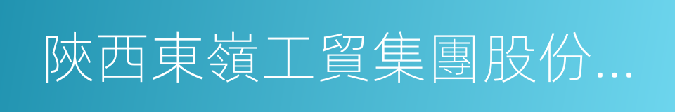 陝西東嶺工貿集團股份有限公司的同義詞