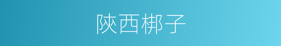 陝西梆子的意思