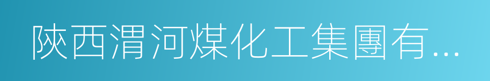 陝西渭河煤化工集團有限責任公司的同義詞