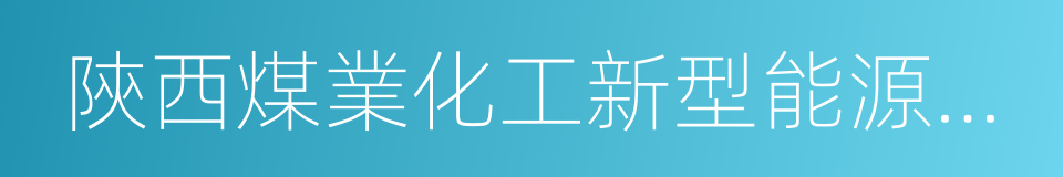 陝西煤業化工新型能源有限公司的同義詞