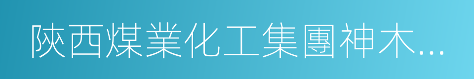 陝西煤業化工集團神木天元化工有限公司的同義詞