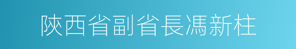 陝西省副省長馮新柱的同義詞