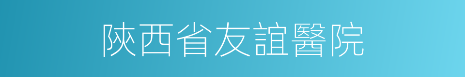 陝西省友誼醫院的同義詞