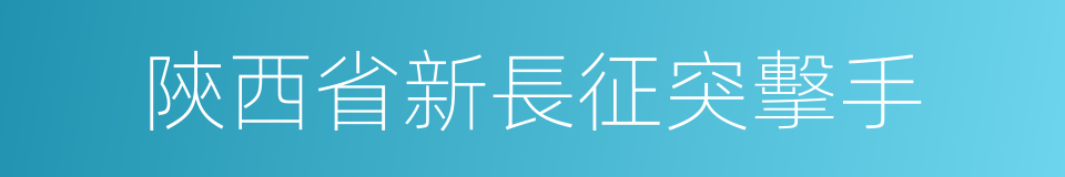 陝西省新長征突擊手的同義詞