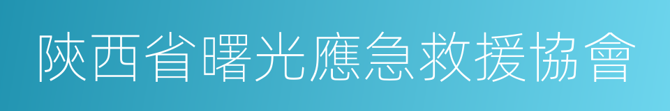 陝西省曙光應急救援協會的同義詞