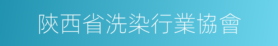 陝西省洗染行業協會的同義詞