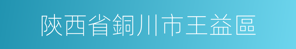 陝西省銅川市王益區的同義詞