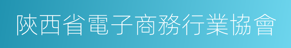 陝西省電子商務行業協會的同義詞