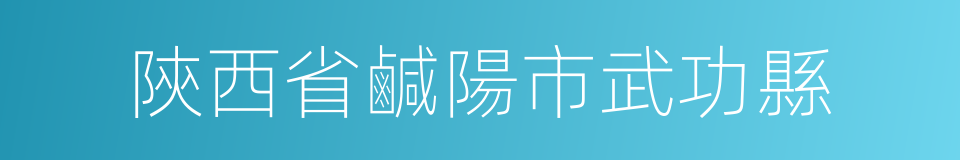 陝西省鹹陽市武功縣的同義詞