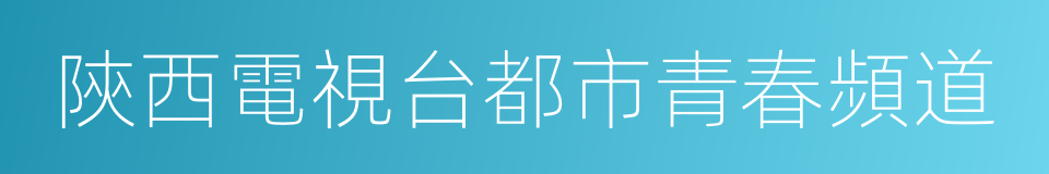 陝西電視台都市青春頻道的同義詞