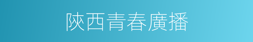 陝西青春廣播的同義詞