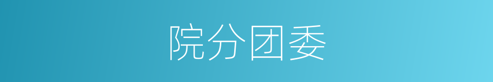 院分团委的同义词