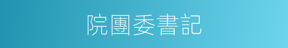 院團委書記的同義詞