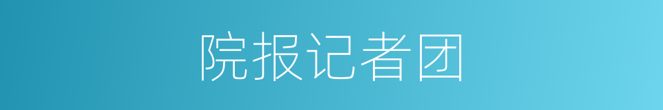 院报记者团的同义词