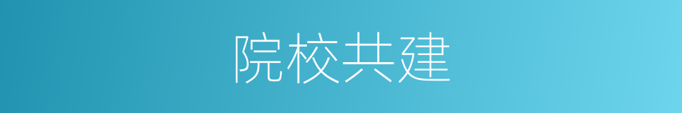 院校共建的同义词