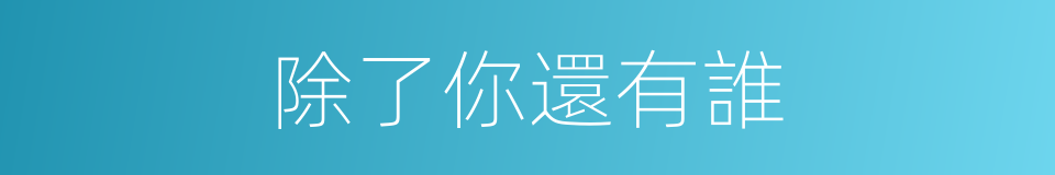 除了你還有誰的同義詞