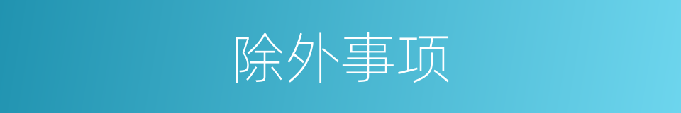 除外事项的同义词