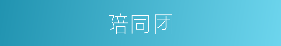 陪同团的同义词