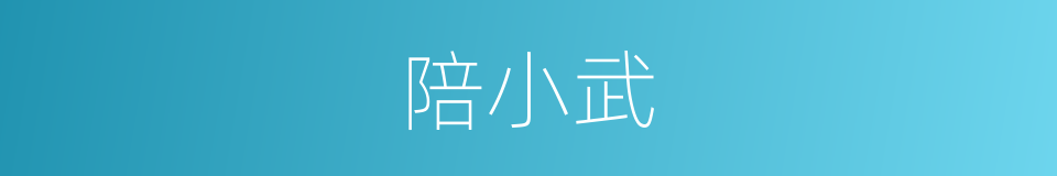 陪小武的同义词