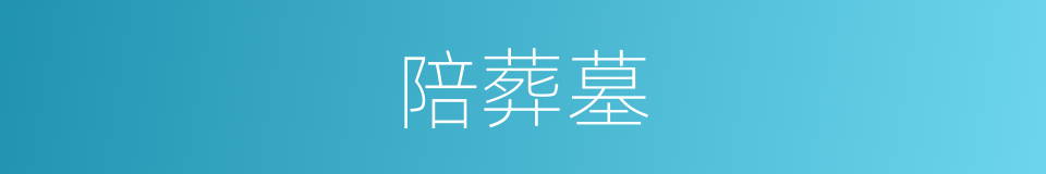 陪葬墓的同义词