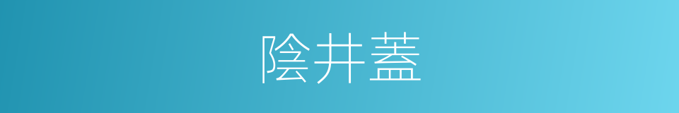 陰井蓋的同義詞