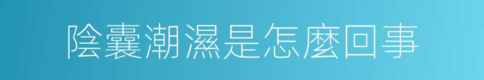 陰囊潮濕是怎麼回事的同義詞