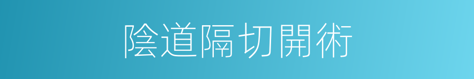 陰道隔切開術的同義詞