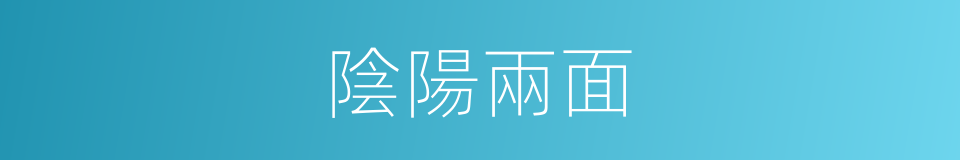 陰陽兩面的意思