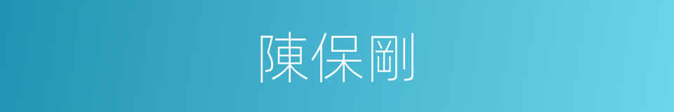 陳保剛的同義詞