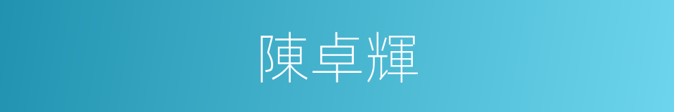 陳卓輝的同義詞