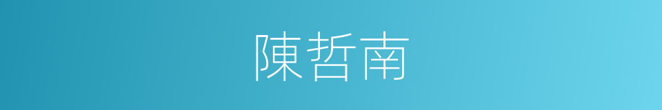 陳哲南的同義詞