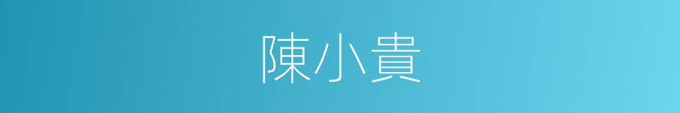 陳小貴的同義詞