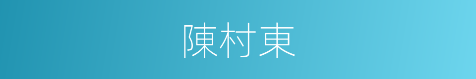 陳村東的同義詞