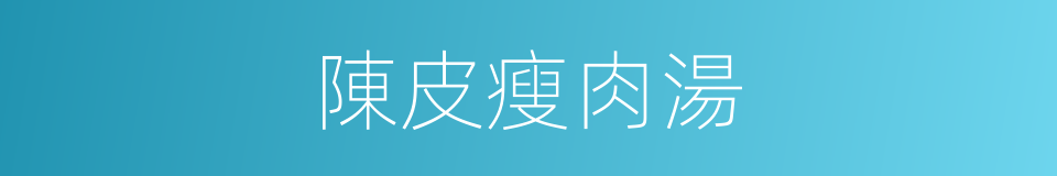 陳皮瘦肉湯的同義詞