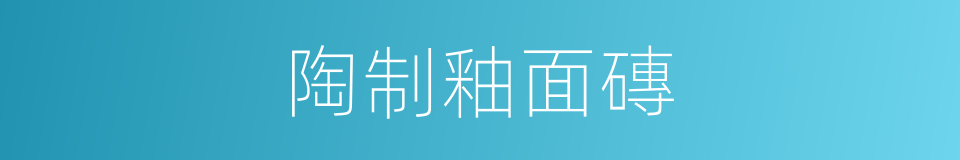 陶制釉面磚的同義詞