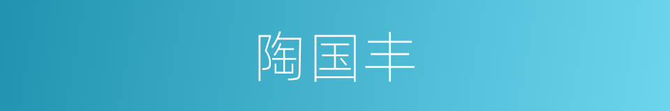 陶国丰的同义词