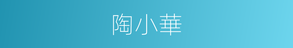 陶小華的同義詞