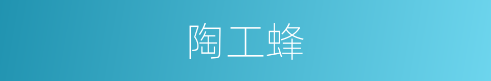 陶工蜂的同义词