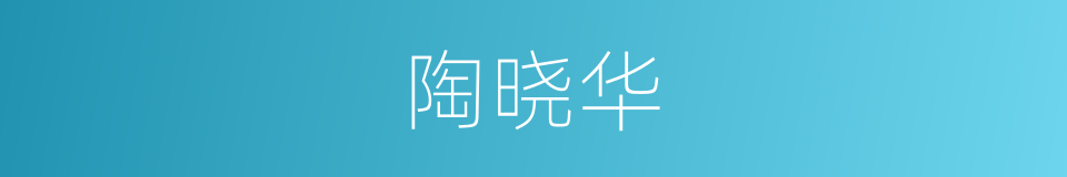 陶晓华的同义词