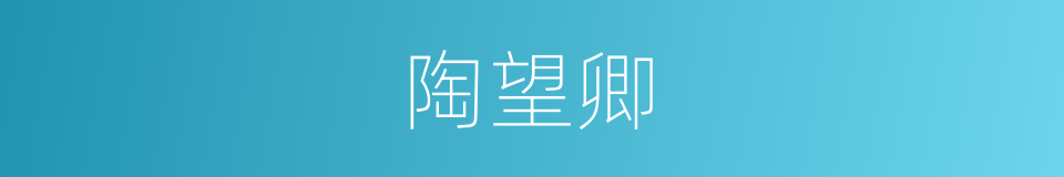 陶望卿的同义词