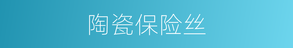 陶瓷保险丝的同义词