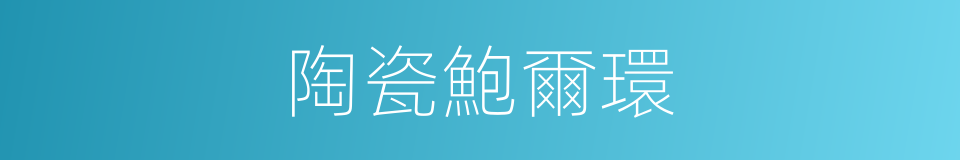 陶瓷鮑爾環的同義詞